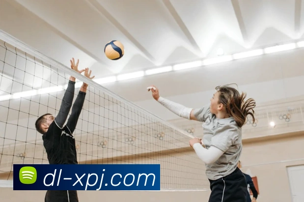 澳门新葡京娱乐APP 高清赛事图